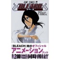 Bleach Official Animation Book Vibes
