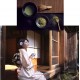 Japanese tea ceremony 3 utensils set: chaki, chashaku, chasen