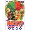 Naruto - Japanese Volume (Vol. 15)