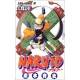 Naruto - Japanese Volume (Vol. 17)